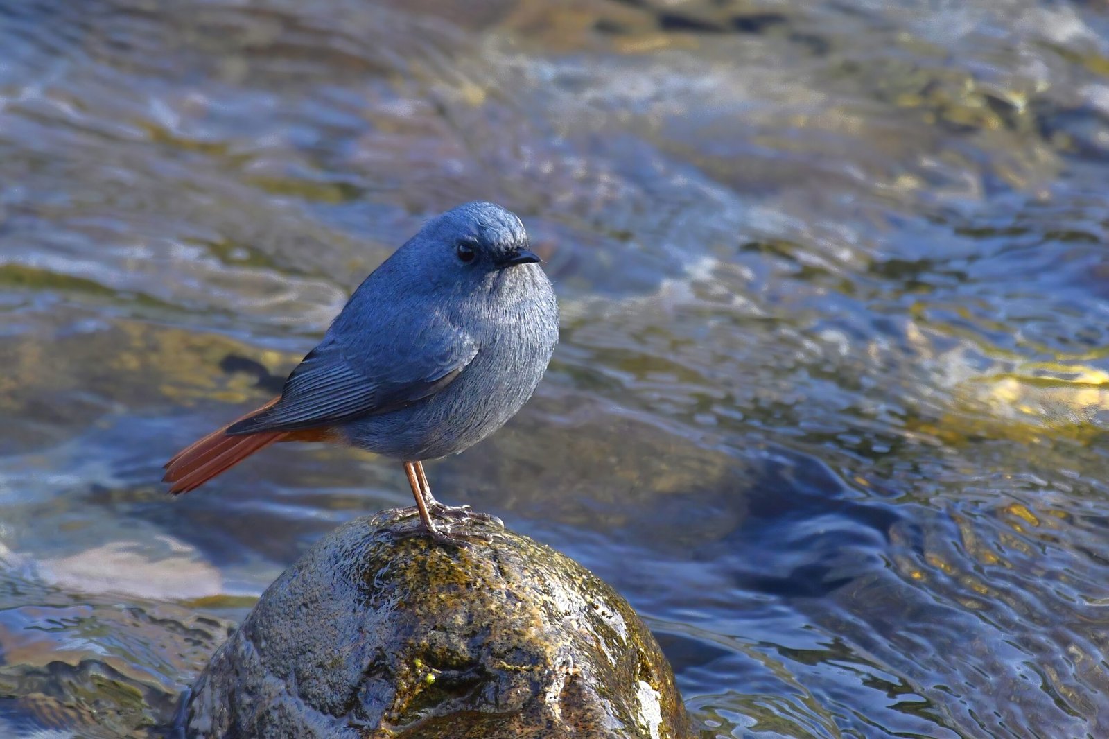 Corbett_9-SharpenAI-Motion