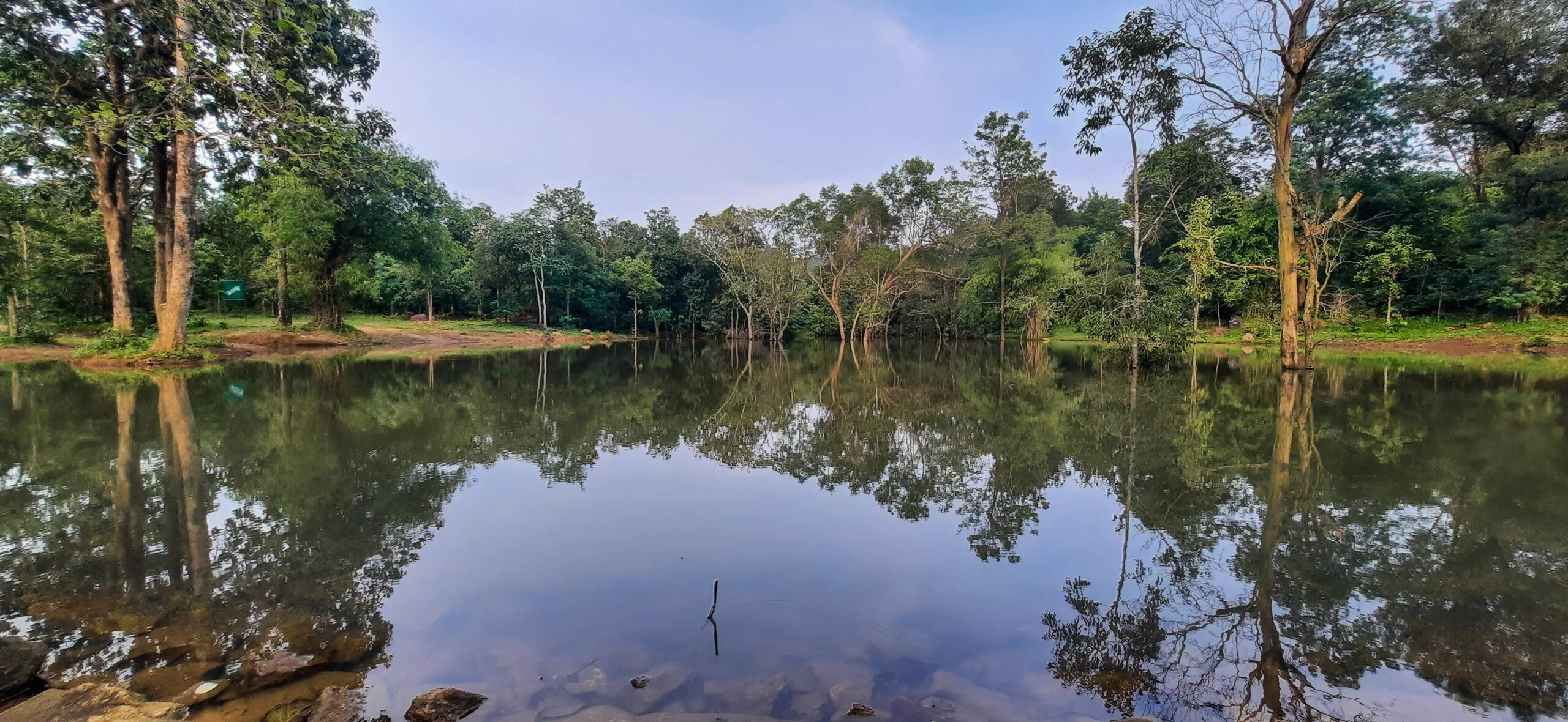 Kanha scape-2