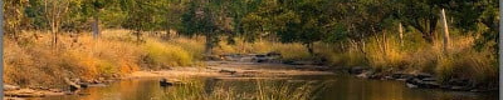 Landscape of Panna Panna, the Emeral Green of Central Highlands